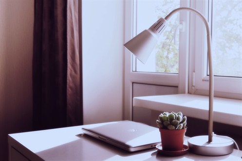 Lamp/Desk Botanical
