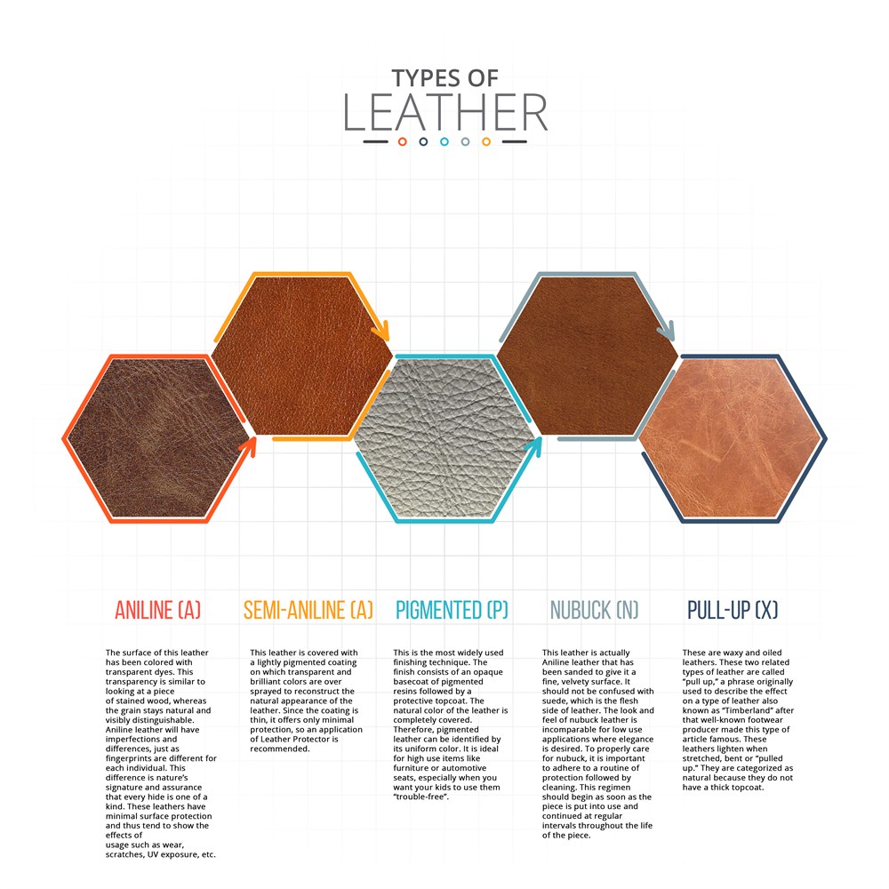 Type of Leather Infographic